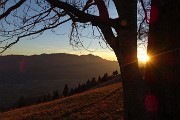 Invernale-primaverile in CIMA BLUM (1297 m) e (CIMA PARE’ (1642 m) il 28 dicembre 2016 - FOTOGALLERY